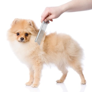 KingHon Wholesale <b>Hot</b> Sale Pet Fur Grooming Tools Silver Metal Double Side Pet <b>Comb</b> Stainless Steel for Dog and Cat - Product Image 2