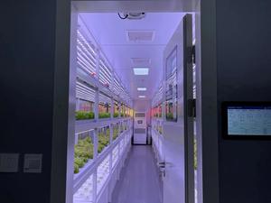 Proyecto llave en mano ONE-One Contenedor agrícola vertical Suministros de invernadero Granja de contenedores de envío de cultivo de setas - Product Image 3