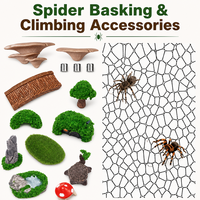 Accessoires pour terrarium : Enclos 3D à thème pour araignées sauteuses, cachette pour insectes, plateforme de basking, aménagement paysager pour reptiles, décoration pour petits animaux de compagnie