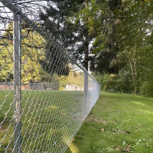 Vendre bien haut 1.8m 2m 2.5m 3m panneaux de clôture de maillon de chaîne de treillis métallique en diamant galvanisé <span class=keywords><strong>pour</strong></span> porte de sécurité - Product Image 6