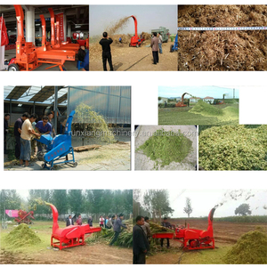 Máquina eléctrica de fácil manejo para picar forraje seco y fresco de maíz, paja, pasto y ensilaje para granjas ganaderas. - Product Image 6