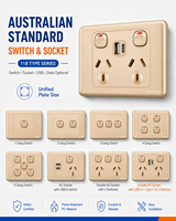 Interrupteur mural doré standard australien 10A 6 prises 1-5 gang avec interrupteur d'éclairage et adaptateur USB Type C SDK prise AU