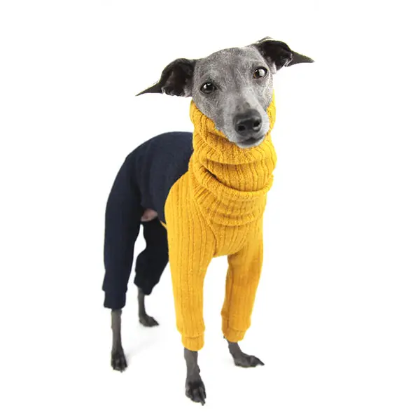 लक्जरी डिजाइनर कुत्ते कपड़े पालतू सर्दियों स्वेटर कुत्ते फैशन पालतू कपड़े भव्य wooly romper braemar इतालवी ग्रेहाउंड