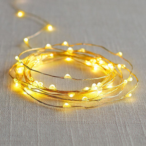 สายไฟ LED ทองแดง 20 ดวง แสงสีขาวนวล สำหรับตกแต่งภายใน ตกแต่งเค้ก จัดดอกไม้ ใช้แบตเตอรี่ - Product Image 1