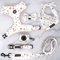 Ensemble collier et laisse pour chien avec logo personnalisé, accessoires pour animaux de compagnie ajustables et personnalisés pour chiens