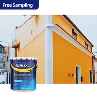 Peinture murale émulsion latex pour l'extérieur, revêtement en plâtre mat en acrylique PVA pour la décoration intérieure, lavable