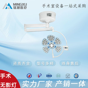 Surgical Shadowless LED Medical Examination Light 150W CE Certified For Cosmetic Surgery Dentistry Veterinary Gynecology - Product Image 5