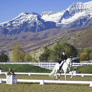 Professionele UV-bestendige witte PVC draagbare dressuurbaan voor dressuurpaardrijden - Product Image 2