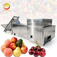 ORME Jujube-abrikozen-pruimen ontpitter machine fruitpitverwijderaar perzikpit kersenontpitter
