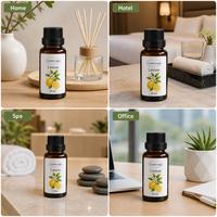 Recharge d'huile parfumée personnalisée pour diffuseur à bâtonnets, pour l'arôme de la maison