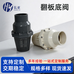 Válvula de pie de UPVC en miniatura, resistente a químicos, antirretorno, para medios ácidos, uso a temperatura ambiente - Product Image 5