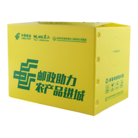 Usine meilleur prix PP Poly carton boîte pliable en plastique ondulé chiffre d'affaires étui d'expédition bacs de Transport avec fermeture à bande magique