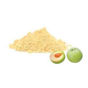 Instant Water Soluble Green Plum Extract Powder Greengage Powder Greengage Fruit Powder
