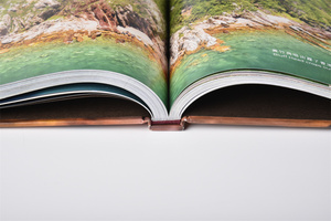 도매 다채로운 맞춤형 고급 종이 하드커버 책 인쇄 핫 스탬핑 커버 우수한 주문형 서비스 다양한 맞춤형 - Product Image 4