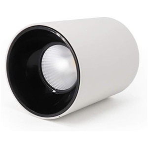 Venta al por mayor impermeable IP65 superficie montada foco abajo foco de luz 10W 15W 20W 30W 40W 60W 100W techo LED COB Downlight - Product Image 1