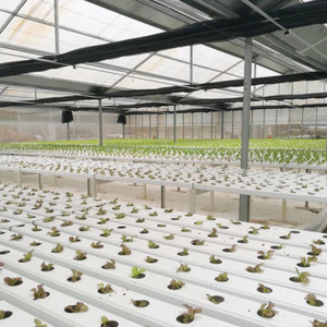 Tubería Cuadrada de PVC de Grado Alimenticio para Cultivo Hidropónico de <span class=keywords><strong>Lechuga</strong></span> a Bajo <span class=keywords><strong>Precio</strong></span> - Product Image 2