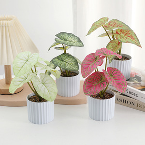 Mini Planta Artificial de Caladium en Maceta, Hojas Multicolor Variadas en Forma de Corazón, Decoración para Mesa, Hogar, Cafetería, Escritorio, Venta al por Mayor - Product Image 1
