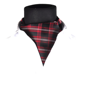 <span class=keywords><strong>Cravate</strong></span> <span class=keywords><strong>Ascot</strong></span> tissée en <span class=keywords><strong>soie</strong></span> 100% pour homme <span class=keywords><strong>Cravate</strong></span> <span class=keywords><strong>Ascot</strong></span> pour homme - Product Image 2