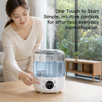 Humidificateur ultrasonique 3L, capacité d'eau 300ml/h, brume froide avec panneau numérique pour chambre et utilisation sur table