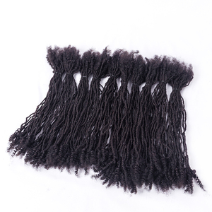 Extensions de dreadlocks 0,1-0,8 cm en cheveux humains pour hommes/femmes, tresses au crochet, extensions de dreadlocks, boucles interlockées, cheveux au crochet - Product Image 1