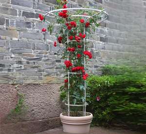 Enrejado de jardín de metal de Venta caliente para plantas trepadoras-Rose, <span class=keywords><strong>Plumbago</strong></span> Support - Product Image 1