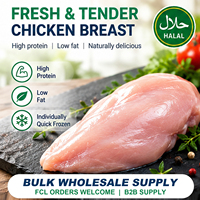 Filets de poitrine de poulet surgelés en vrac de haute qualité, sans os ni peau, 10 kg, bon prix, conformes aux normes halal