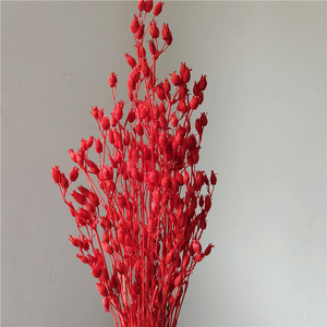 All'ingrosso fiorentiner fiori artificiali secchi per matrimoni e decorazioni per la casa fai da te per la festa della mamma - Product Image 6