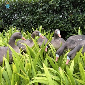 Décoy de chasse 3D en mousse EVA XPE recyclable pour oies et cerfs, décoration de jardin, chasse sauvage, avec design d'oie du Canada - Product Image 2
