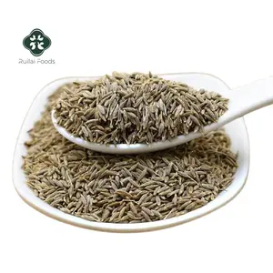 New crop Single spices and herbs raw dried cumin seed Chinese cumin seeds