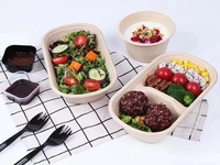 NewSky Contenants alimentaires rectangulaires jetables en bagasse à 2 compartiments avec couvercle, 700ML, 850ML, 1000ML