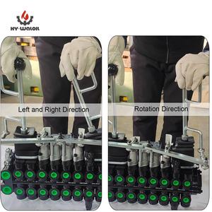 Valvola di Controllo Idraulica Sezionale Hy-waloil Forest Crane 250 Bar 60 LPM Leggera Piccola 8 Bobine 2 Joystick - Product Image 2