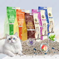 Litière pour chat en bentonite à haute agglomération, très absorbante, désodorisante, faible teneur en poussière, certifiée ISO9001, 10L, en promotion