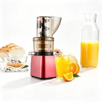Heetverkopende draagbare commerciële elektrische slowjuicer machine fabrieksprijs sinaasappelsapcentrifuge