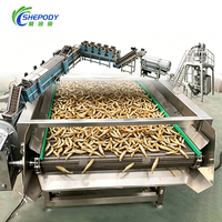Ligne de production de friture continue Shepody 500-1000 kg/h pour crevettes tempura, huîtres frites, filets de poisson, en acier inoxydable 304