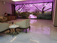 Écran LED couleur pleine gamme pour intérieur, grand écran pour salle de conférence, écran publicitaire électronique pour scène extérieure