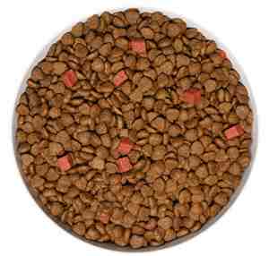 Croquettes sèches à haute teneur en protéines et à faible teneur en glucides pour chiens disponibles en gros avec des services de production OEM - Product Image 3