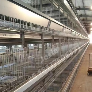 Nuevo Equipo para Granjas Avícolas: Jaulas de 3 Niveles para 160 Aves, Tipo H, de Acero Galvanizado de Alto Carbono para Gallinas Ponedoras - Product Image 3