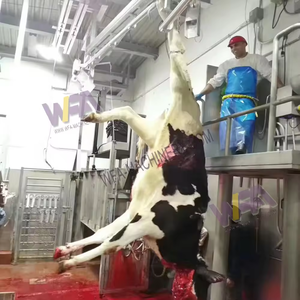 Personnaliser la petite machine d'abattoir de bovins <span class=keywords><strong>halal</strong></span> 30 équipement d'abattage de vaches de <span class=keywords><strong>boucherie</strong></span> bovine - Product Image 2