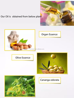 Vente en gros OEM huile d'argan hydratante professionnelle pour les soins capillaires 100% huile d'argan marocaine naturelle Pure