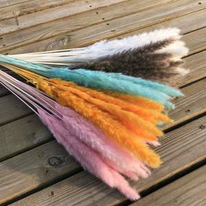 Offre Spéciale Bureau Accueil Parti Festival De Luxe Espace Naturel de Fleurs Séchées Décoration Petit Pampas Herbe - Product Image 4