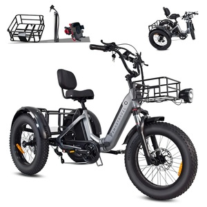 <span class=keywords><strong>Triciclo</strong></span> Eléctrico Inteligente de Alta Potencia 750W con Neumáticos Anchos para Adultos, Batería de Litio 48V, 3 Ruedas, Bicicleta Eléctrica de Carga, <span class=keywords><strong>Triciclo</strong></span> de Movilidad, Fabricante OEM - Product Image 2