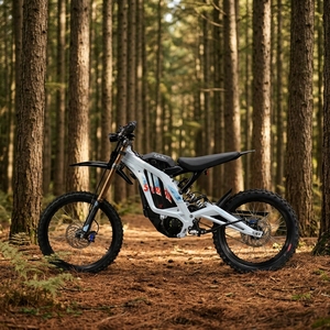 Motocicleta 2026 Light X Extreme 72v 35ah con Diseño de Alto Torque para Condiciones Complejas en Carreteras de Montaña 1. Potencia Mejorada - Product Image 3