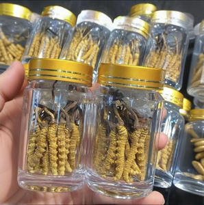 卸売野生生コーダイセプス菌糸凍結乾燥ティエン有機複合体コーダイセプスMilitaris - Product Image 6