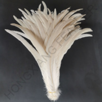 Plumes de coq blanchies et teintes de 40-45 cm pour déguisements de carnaval, vêtements et décorations DIY