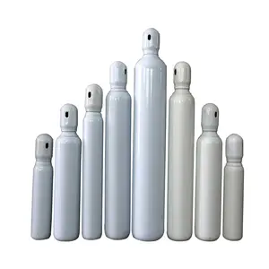 Industrial Welding Oxygen Helium Argon CO2 Acetylene Tools Cylinder 10l/20l/50l Gas Cylinders Oxygen Tanks