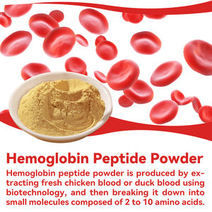 Peptida <span class=keywords><strong>Protein</strong></span> Berkualitas Tinggi yang Baru dan Laris untuk Mengisi Kembali Zat Besi dan <span class=keywords><strong>Hemoglobin</strong></span> Tubuh - Product Image 1