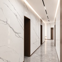 Panneau mural en marbre UV WYRAX 1220x2440mm 2.8mm Blanc Panda Brillant Imperméable Couloir d'appartement