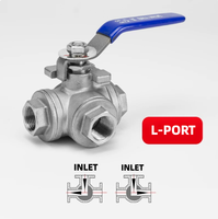 Vannes à boisseau sphérique manuelles en acier inoxydable 304/316 filetées BSP BSPT G pour l'eau OEM