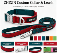 Ensemble collier et laisse pour chien en nylon avec boucle métallique à dégagement rapide, kit de promenade pour animaux de compagnie réglable avec logo personnalisé pour les aventures en plein air