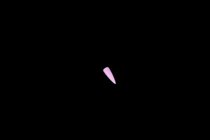 แม่แบบเล็บอะคริลิคเจลแบบใส ลายผิวหนัง สำหรับต่อเล็บแบบเร็ว ใช้ซ้ำได้ - Product Image 5